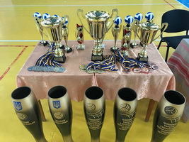 Збірна Академії з волейболу виборола бронзу